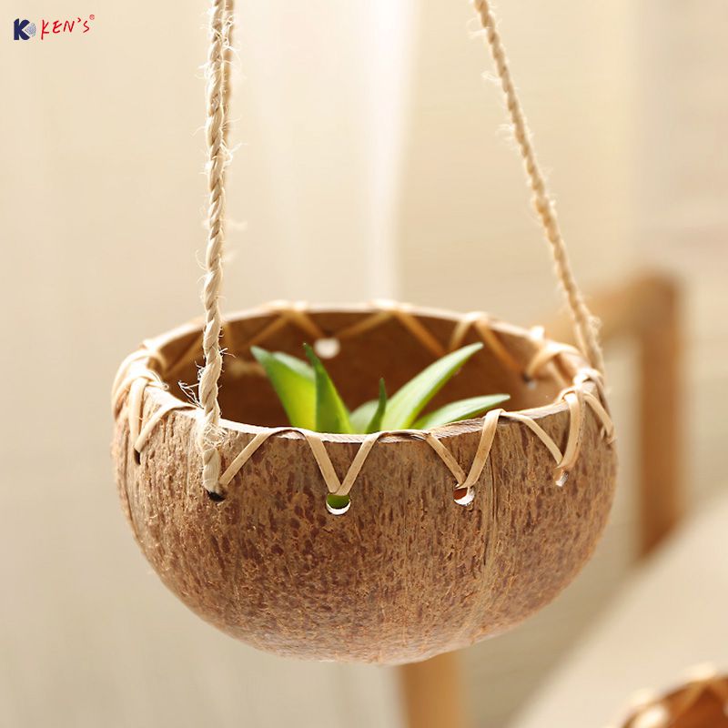 Coconut shell hanging plant pots (1856)